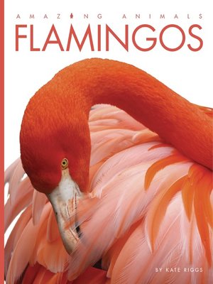cover image of Flamingos